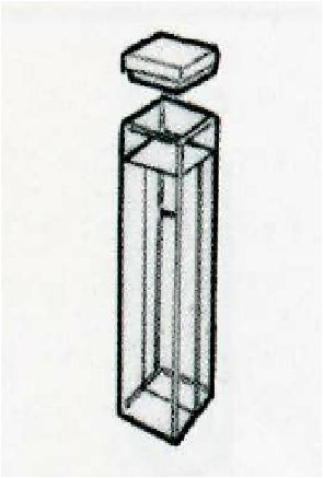 Divided cell