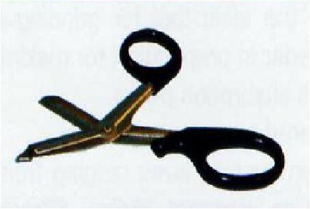 Laboratory Shears